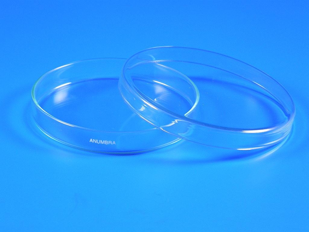 Petri dish ANUMBRA